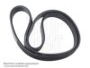 SUZUK 1752169L00 V-Ribbed Belts